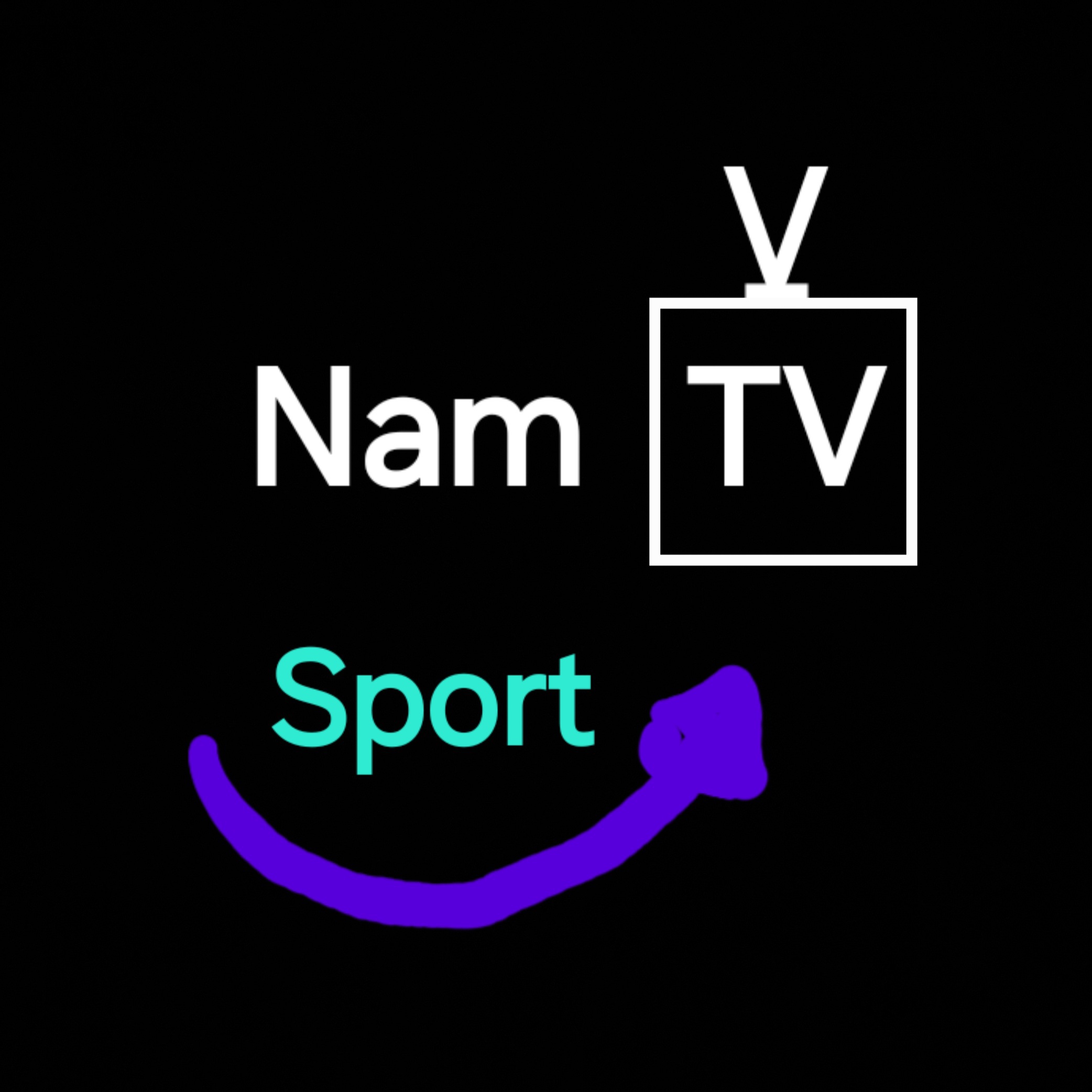Nam_TV-Sport Logo